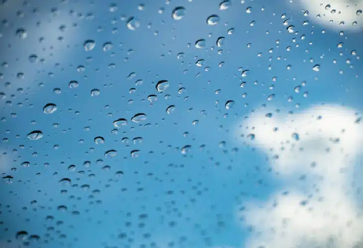 Moving in the Rain: Tips for Making the Best Out of Summer Rainstorms